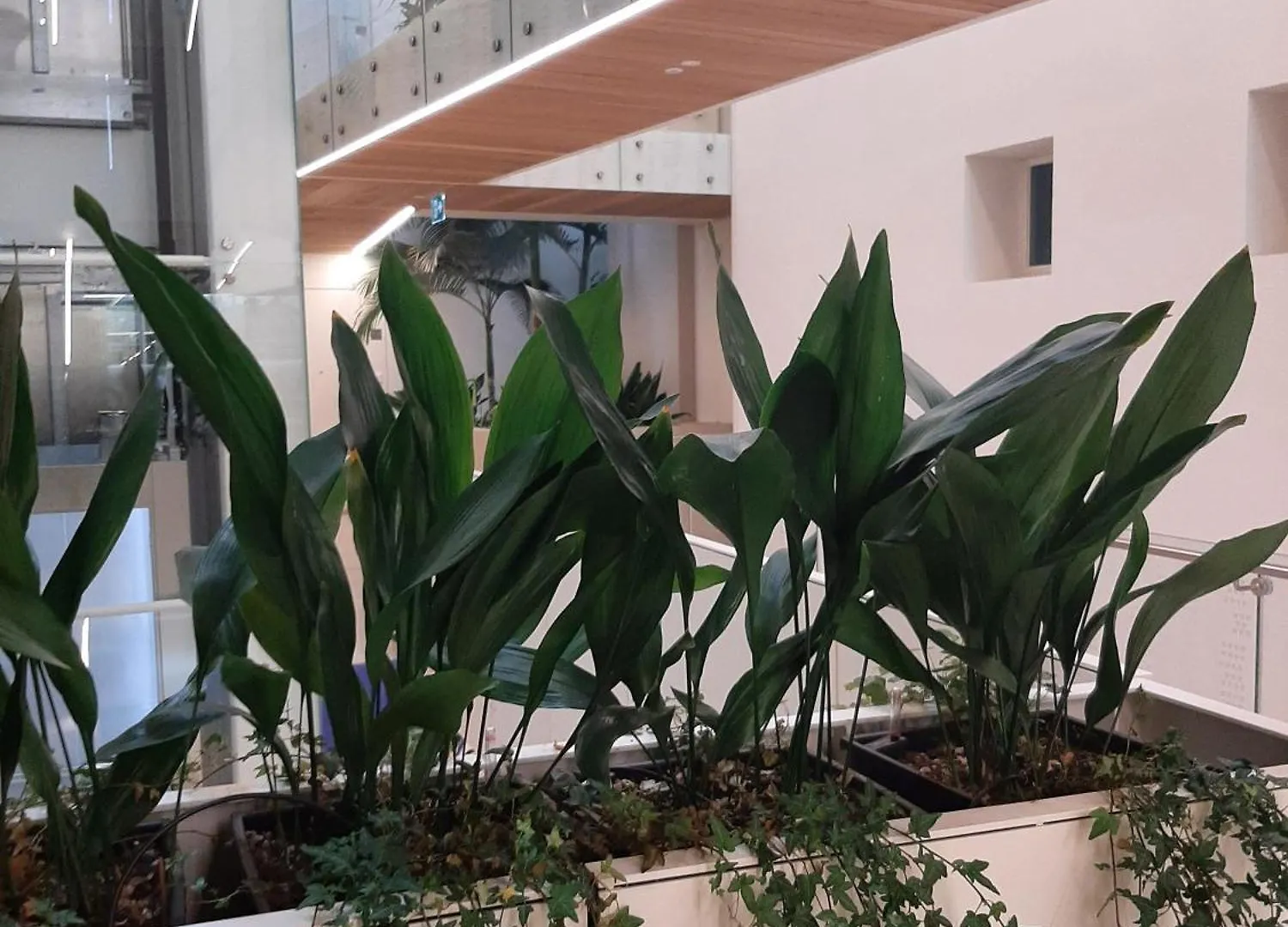 Luxury Apartment Pool, Spa, Gym Lido di Jesolo